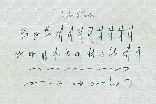 Hulya Script Handwritten Signature Font