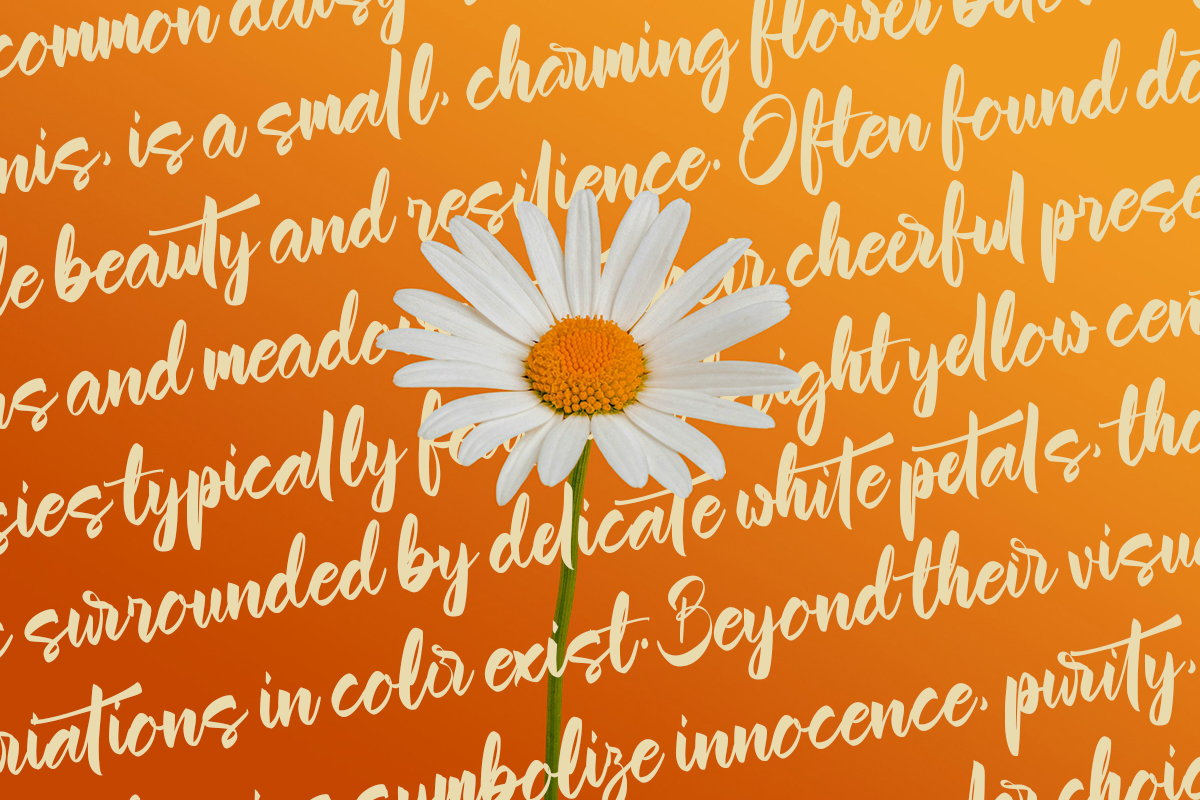 Garnite - Handwritten Script Font