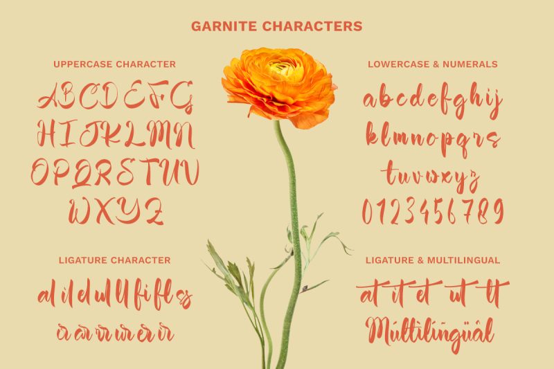 Garnite - Handwritten Script Font
