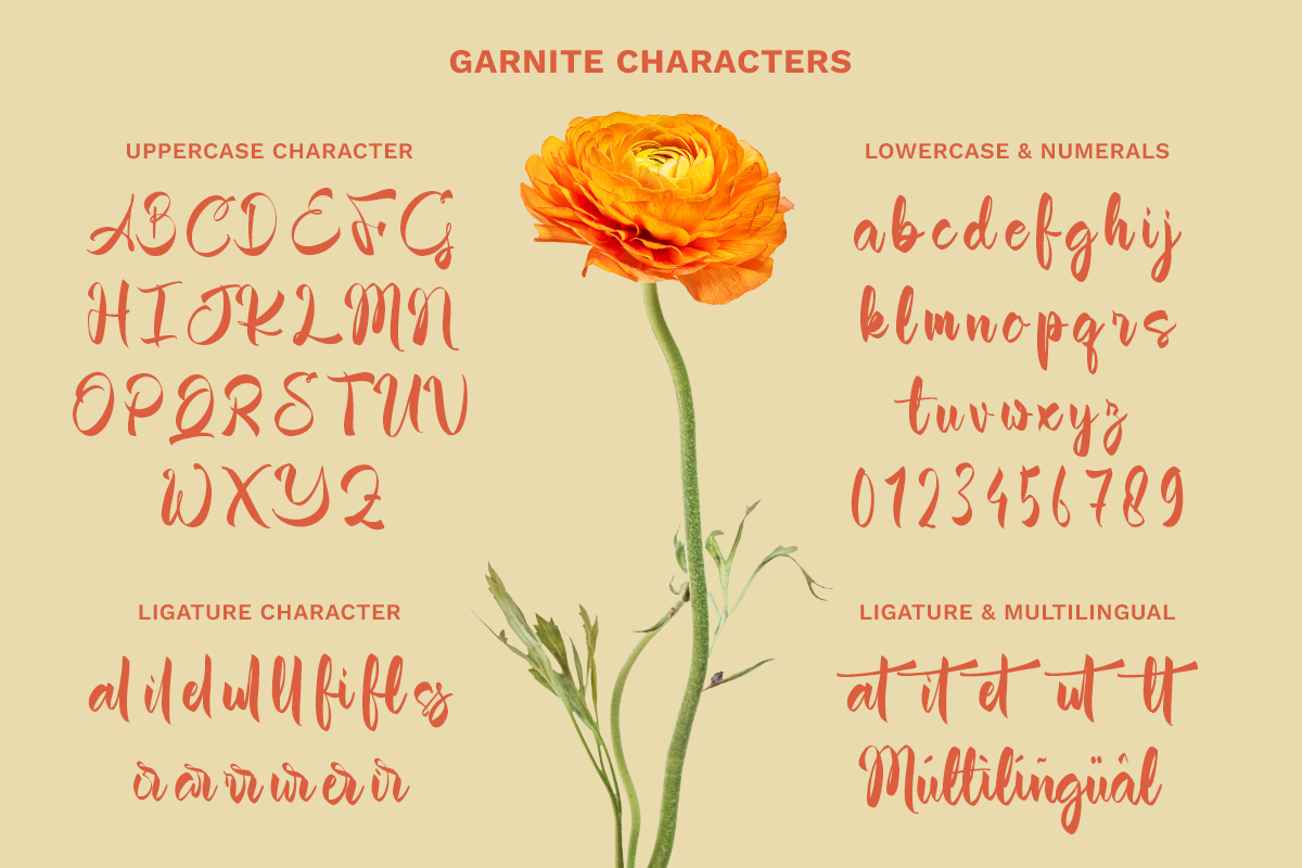 Garnite - Handwritten Script Font