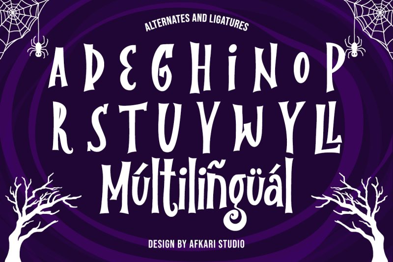 The Last Visitor – Special Display Serif Font