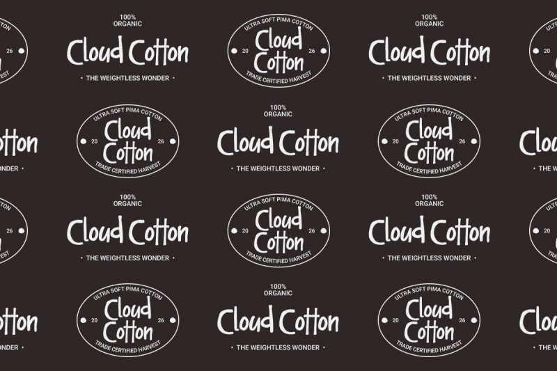 handwritten display font, natural handwritten font, casual handwriting font, bold handwritten font, branding font, logo handwritten font, creative display font, lifestyle font