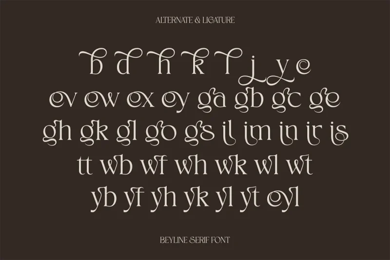 Beyline - Unique Elegance Serif Typeface Font