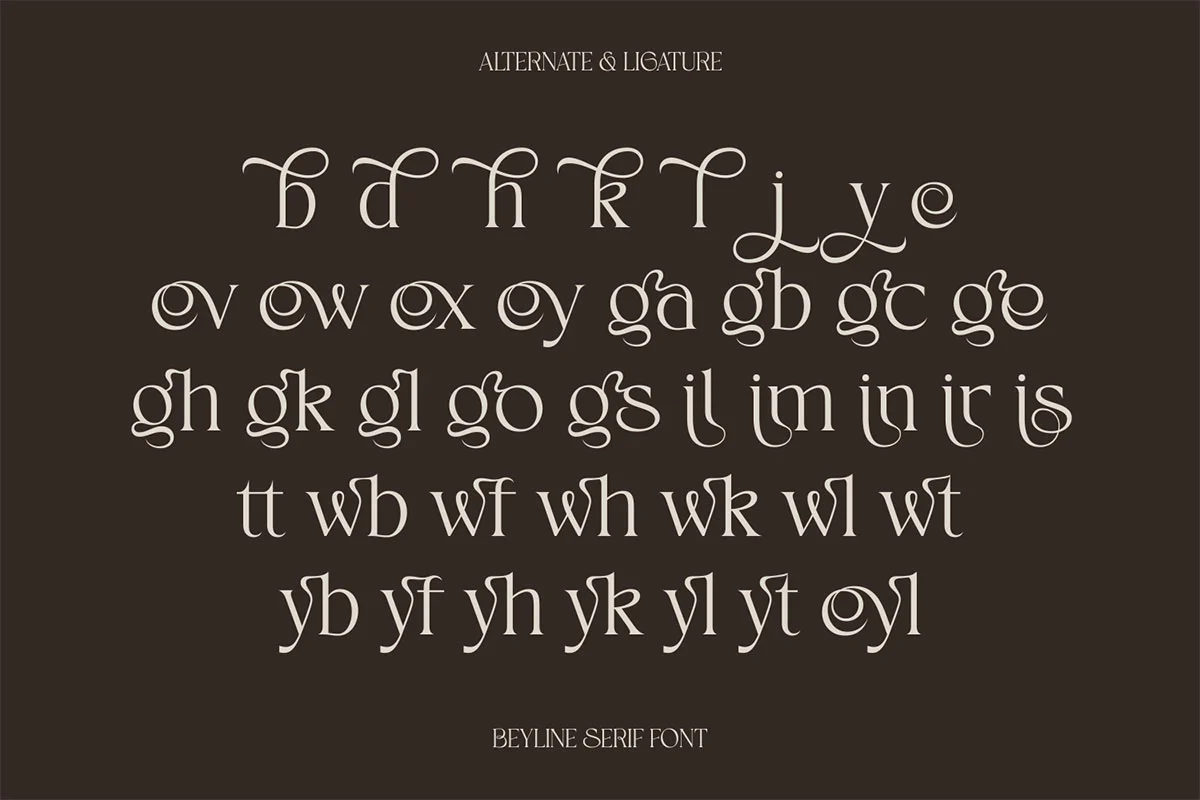 Beyline - Unique Elegance Serif Typeface Font