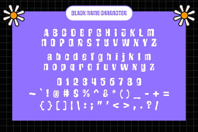 Black Name - Playful Fun Display Font (1)