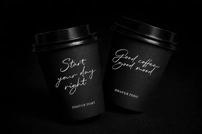 Onatur - Handwritten Signature Script Font