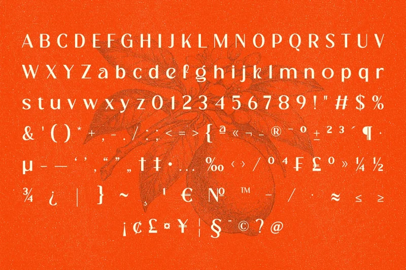 Cranio - Modern Sans Serif Display Font