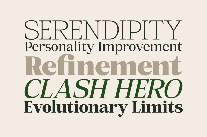 Mount Sagilite – Modern Serif Family Typeface with Variable Font