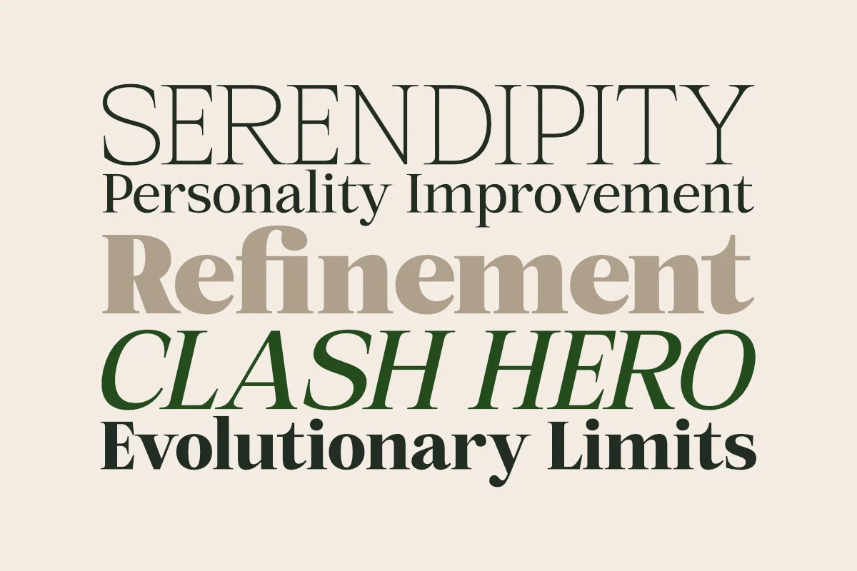 Mount Sagilite – Modern Serif Family Typeface with Variable Font