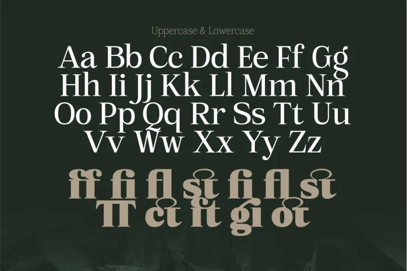 Mount Sagilite – Modern Serif Family Typeface with Variable Font