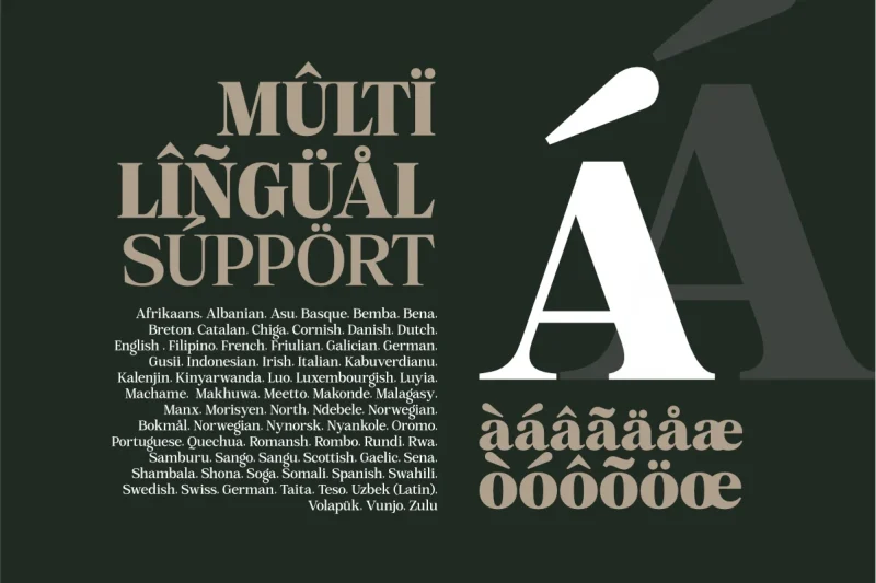 Mount Sagilite – Modern Serif Family Typeface with Variable Font