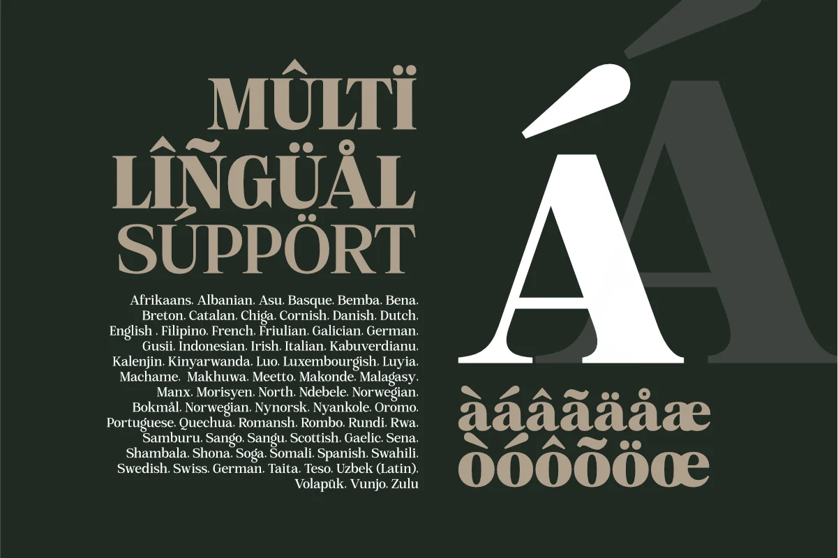 Mount Sagilite – Modern Serif Family Typeface with Variable Font