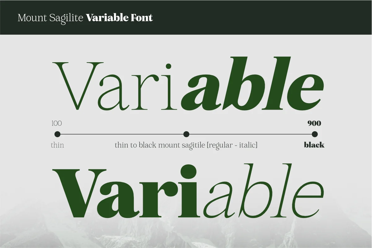 Mount Sagilite – Modern Serif Family Typeface with Variable Font