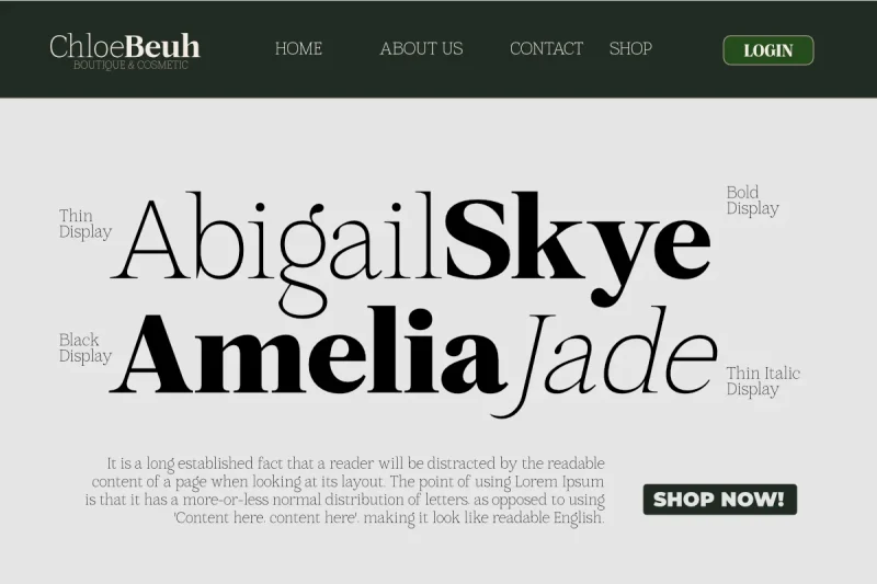 Mount Sagilite – Modern Serif Family Typeface with Variable Font