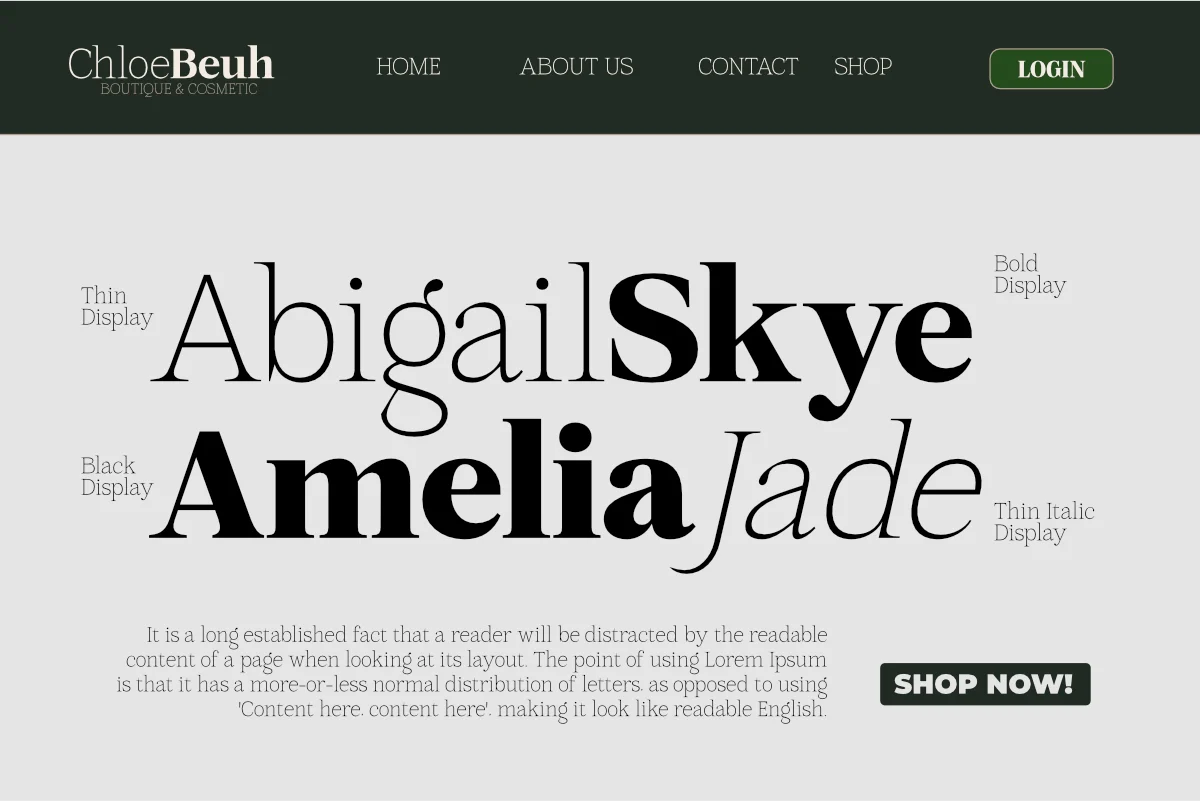 Mount Sagilite – Modern Serif Family Typeface with Variable Font